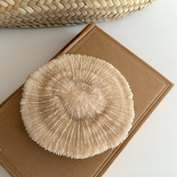 Mushroom Coral Beachy Decor - Picture 7 of 7